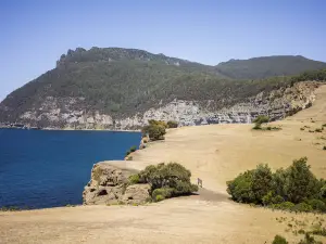 Parc national de Maria Island