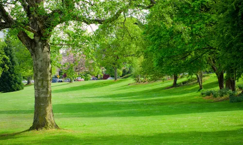 Green Lake Park