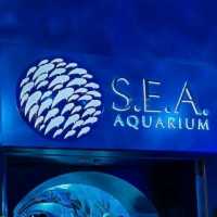 S.E.A Aquarium (>100,000 marine animals)