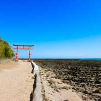 宮崎の縁結びスポット"青島神社"