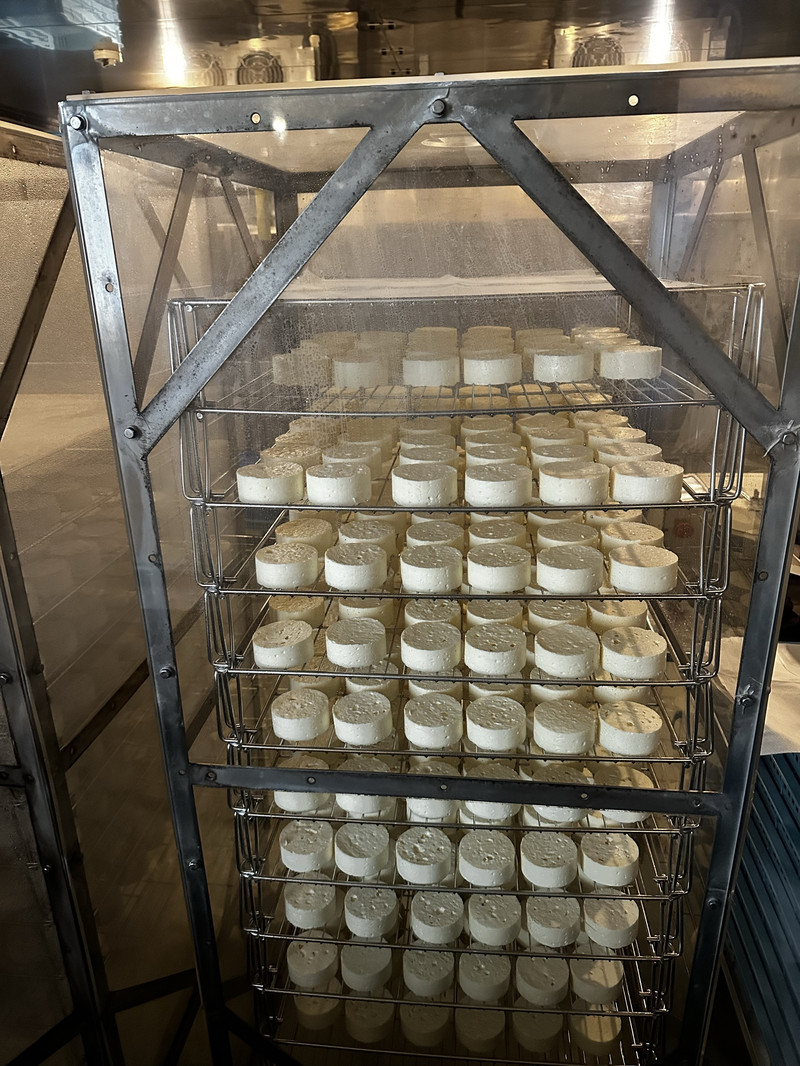 รีวิวที่เที่ยวฟูราโนะ Furano Cheese Factory คู่มือท่องเที่ยวจาก