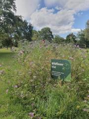 Fendalton Park