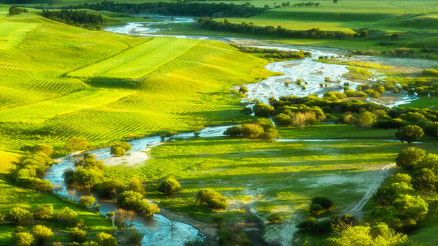 Weichang Bashang Grassland