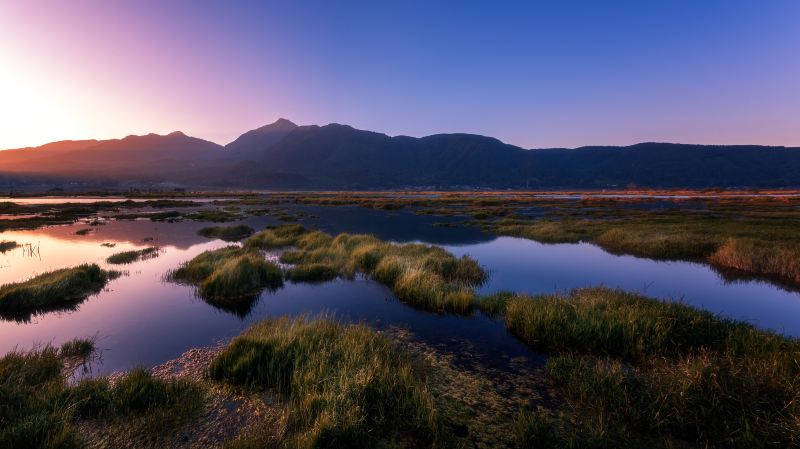 Beihai Wetlands