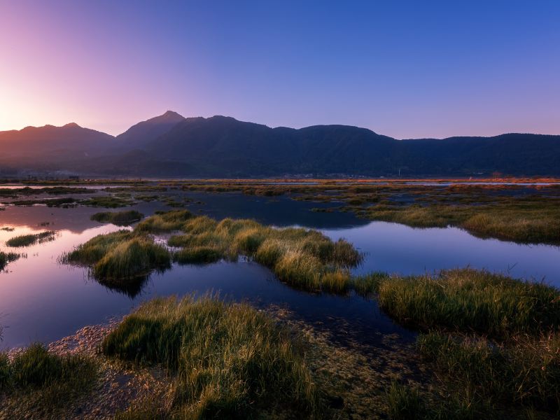 Beihai Wetlands