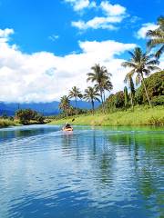 Hanalei River