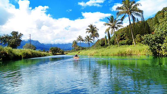 Hanalei River