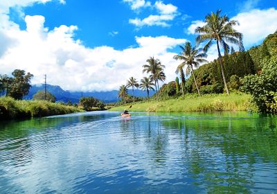 Hanalei River