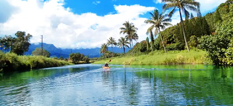 Hotels in Princeville