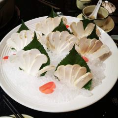 Snow mountain clouds wild mushrooms 여행 사진