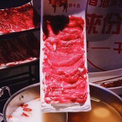 左庭右院鲜牛肉火锅(新世界城店) User Photo