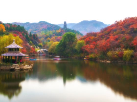 Red Leaves Canyon