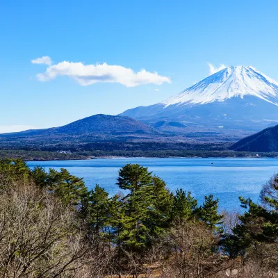 Mt. Fuji View Onsen Ooike Hotel