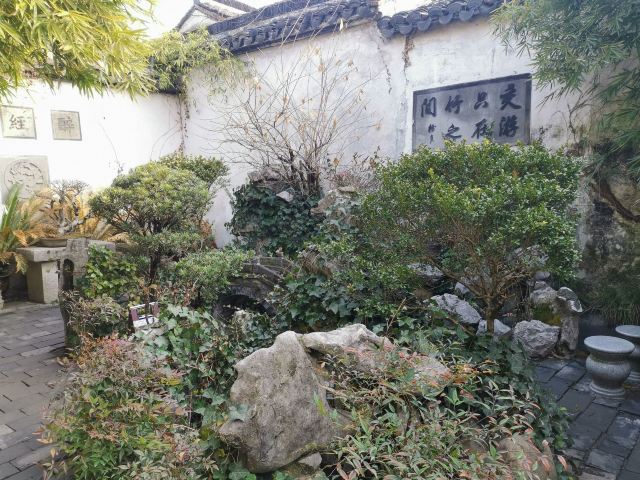 쭈이위엔
