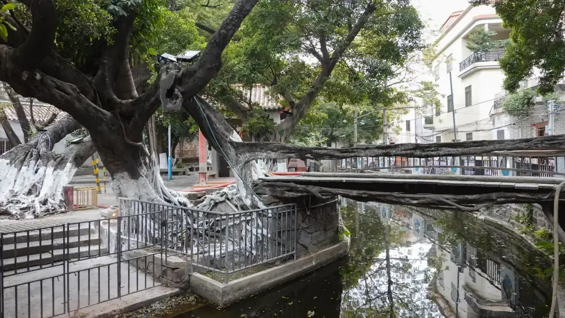 Hotels near Shusheng Bridge