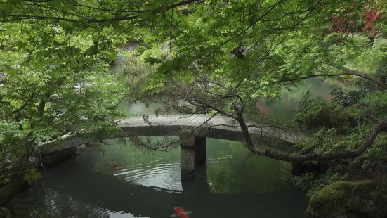 青蓮院小巧玲瓏，為典型的池泉回遊式庭園。一般的参觀順序是先脫