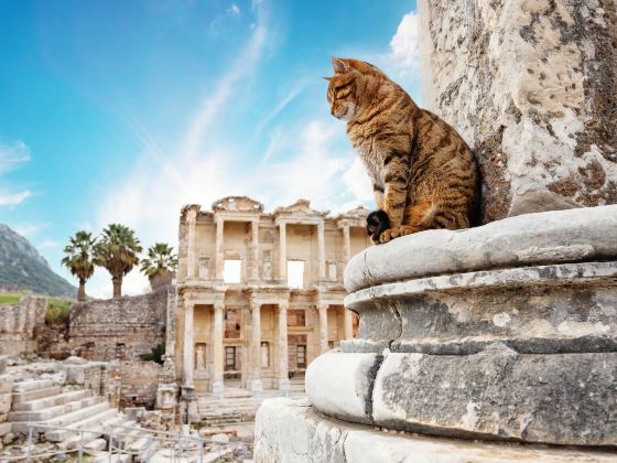 Library of Celsus