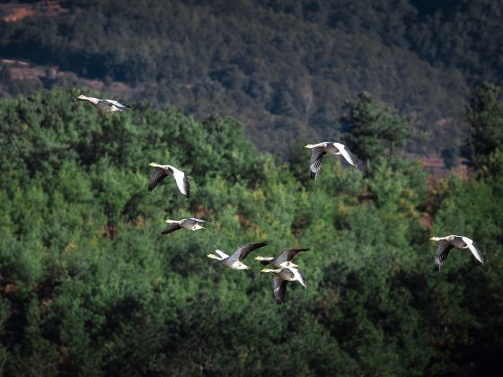 Minghu Lake National Wetland Park