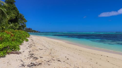 Jambiani Beach