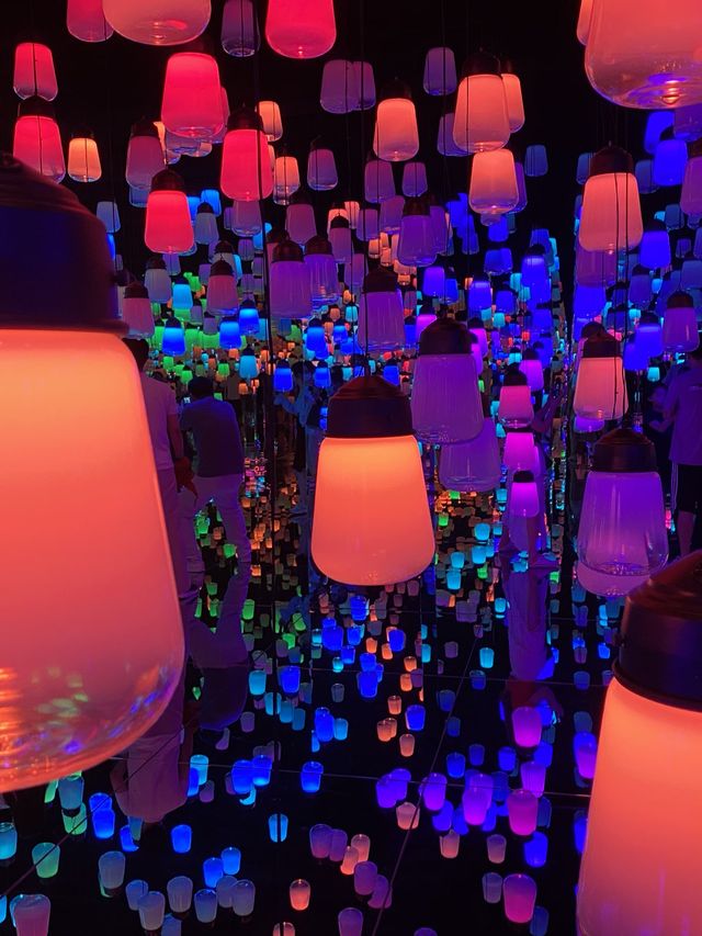 TeamLab Borderless- Transcending Artwork