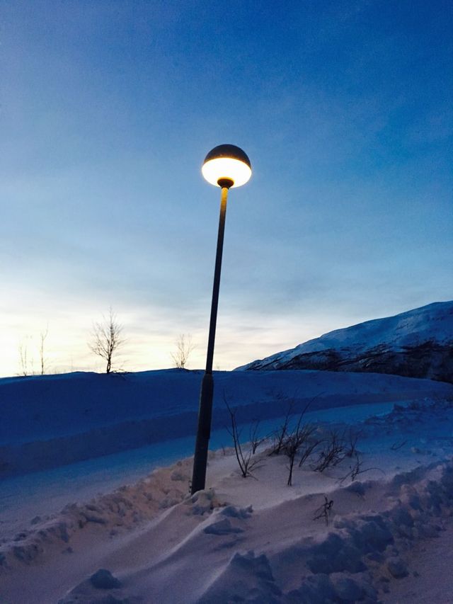 Aurora Experience Tour - Abisko