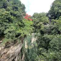 Zhangjiajie - National Forest Park 