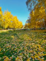 Haxionggou Forest Park