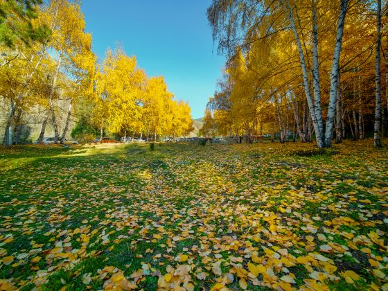 Haxionggou Forest Park