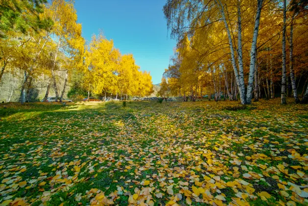 Бутик Отели в г. Урумчи