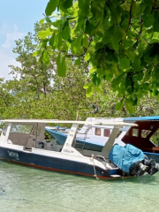 Two Fish Divers Bunaken