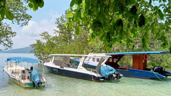 Bunaken Kepulauan