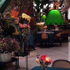 猛虎玫瑰·鲜花西餐厅(长嘉汇江景店) User Photo