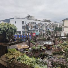 福丘 User Photo