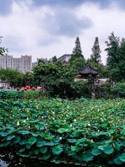 Chengdu Culture Park