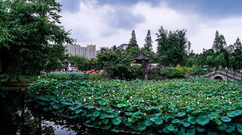 Chengdu Culture Park