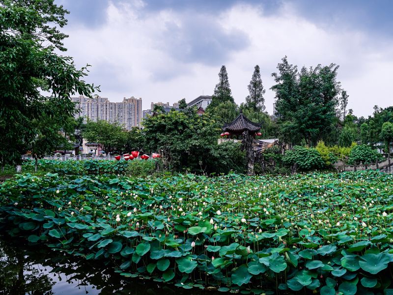 Chengdu Culture Park