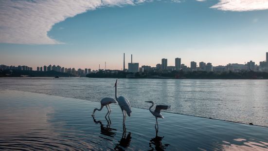 大魚海棠公園