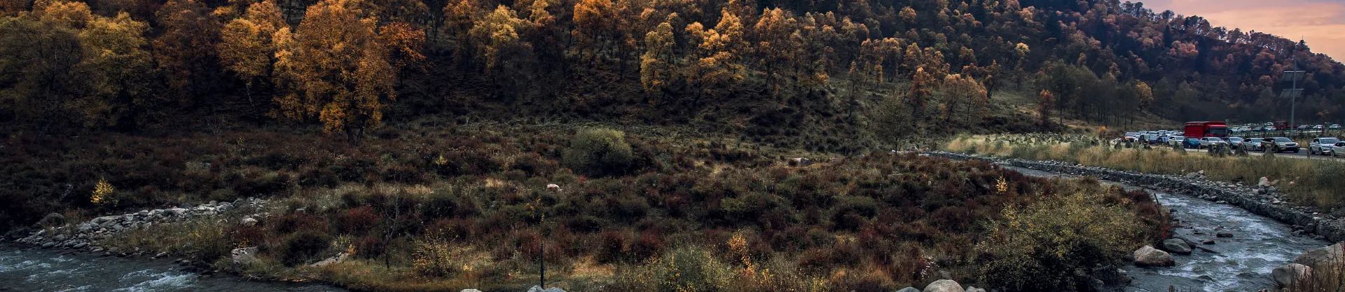 Fall Viewing Attractions