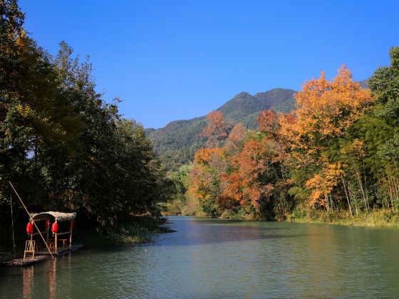 龍尾村