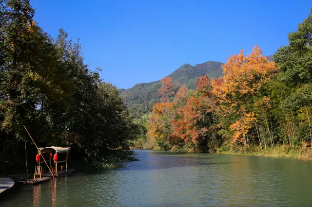 Fall Foliage Sightseeing in Wuyuan