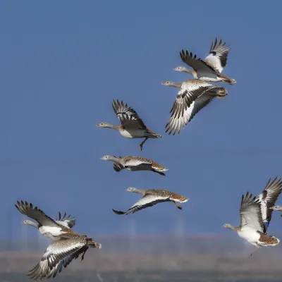 3-звездочные отели в г. Жунчэне