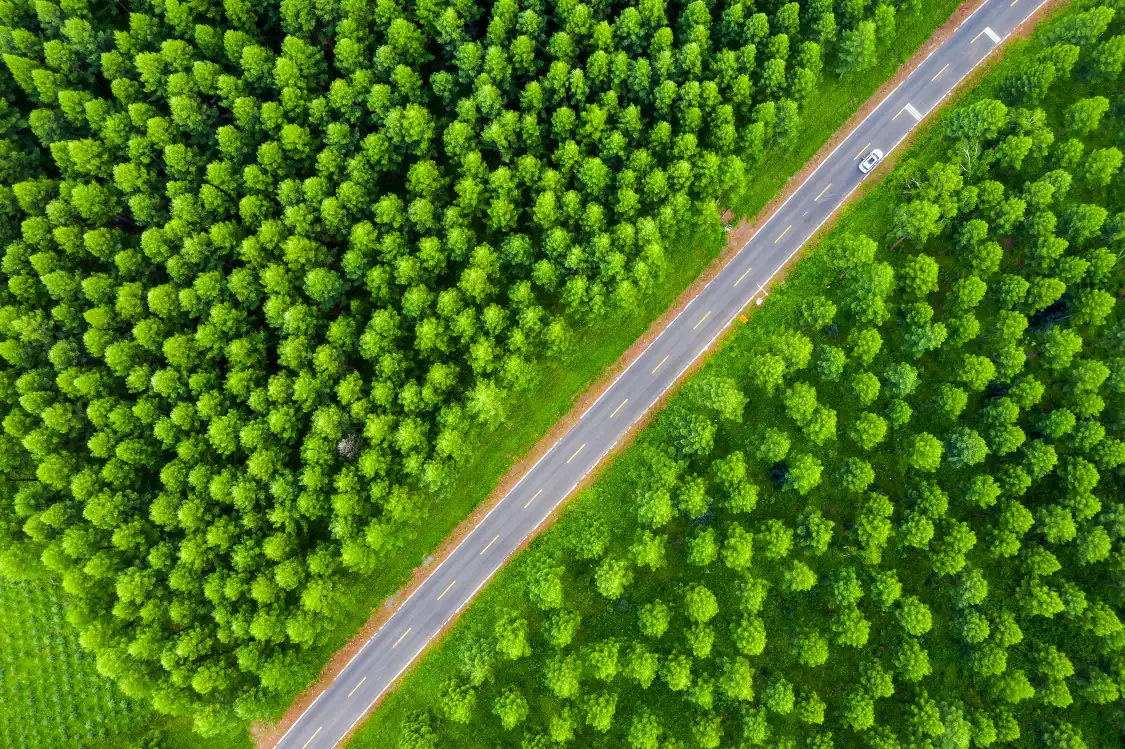 Hotels near Shanghai Memorial Forest