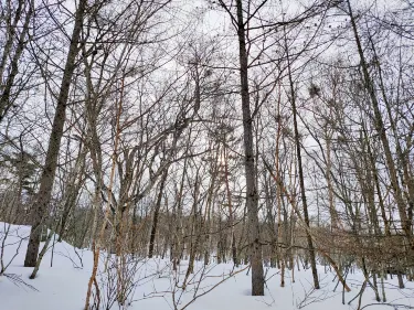 Appi Kogen Hotel a Hachimantai