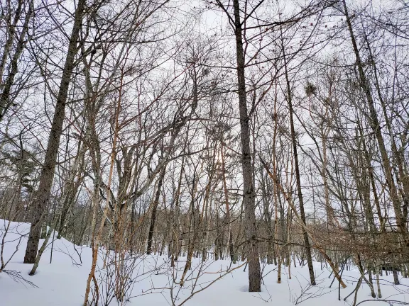 Flug nach Hanamaki