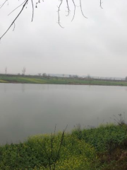 Linchong Lake