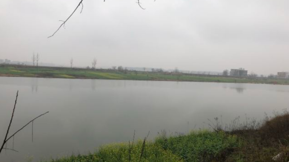Linchong Lake