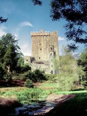 Castillo de Blarney