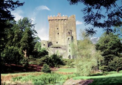 Castello di Blarney