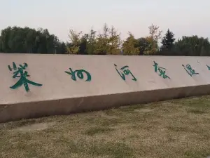 Laizhouhetao Wetland Park