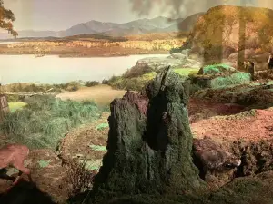 Forest Museum